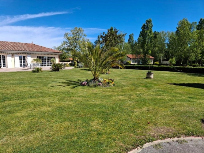 Photos 3 - Équestre - Haras / Equestre