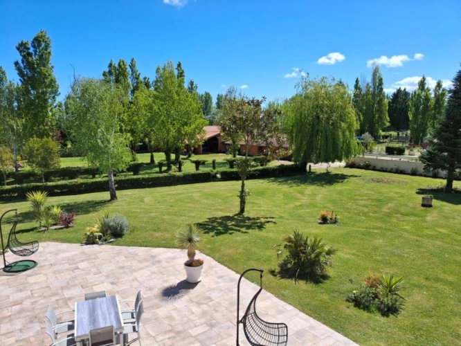 Photos 4 - Équestre - Haras / Equestre