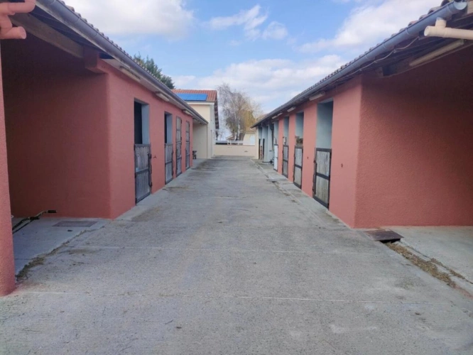 Photos 7 - Équestre - Haras / Equestre