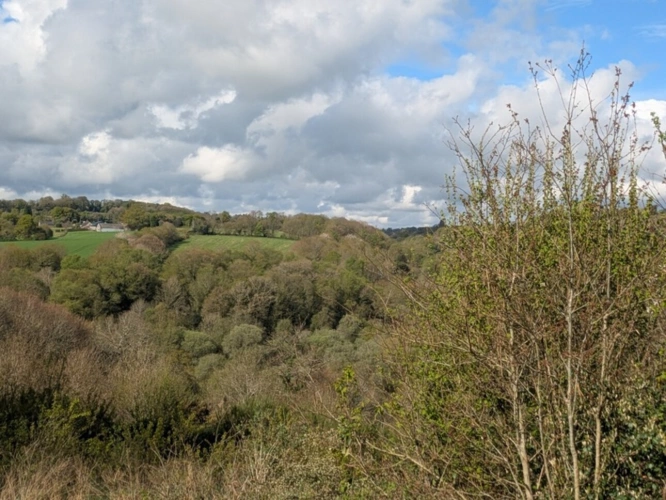 Photos 33 - Équestre - LE SAINT PROPRIETE COMPOSEE D'UNE LONGERE ET DEPENDANCES DE 185M² ENVIRON PARCELLE DE 6 HECTARES 4