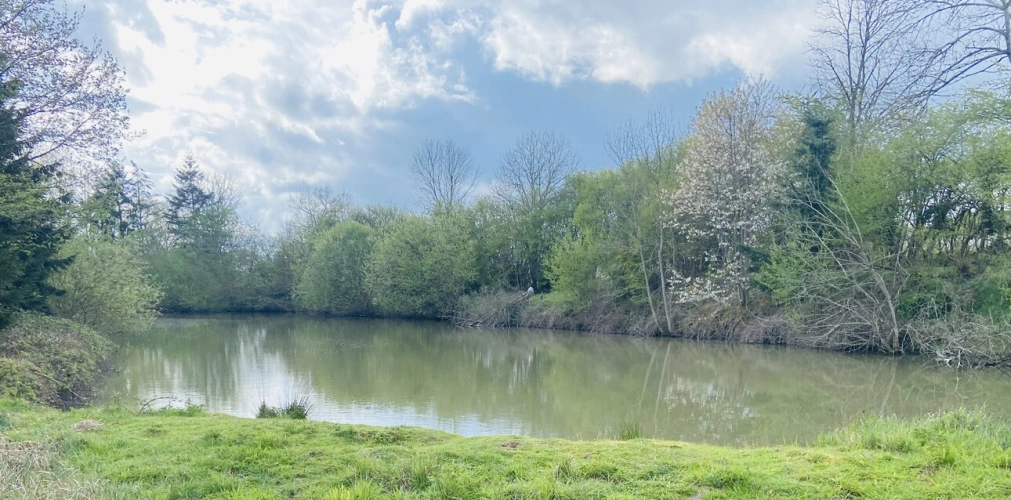 Photos 1 - Foncière - Terrain de loisirs avec plan d'eau