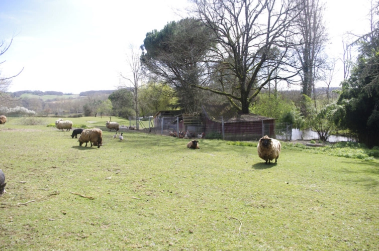 Photos 10 - Touristique - SAINT JEAN POUTGE, à vendre propriete de charme 8 pièces + potentiel gîtes indépendants sur 7.4 ha de terrain