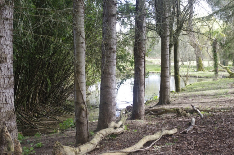 Photos 11 - Touristique - SAINT JEAN POUTGE, à vendre propriete de charme 8 pièces + potentiel gîtes indépendants sur 7.4 ha de terrain