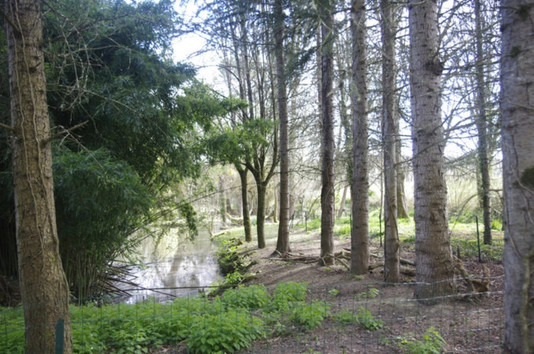 Photos 27 - Touristique - SAINT JEAN POUTGE, à vendre propriete de charme 8 pièces + potentiel gîtes indépendants sur 7.4 ha de terrain