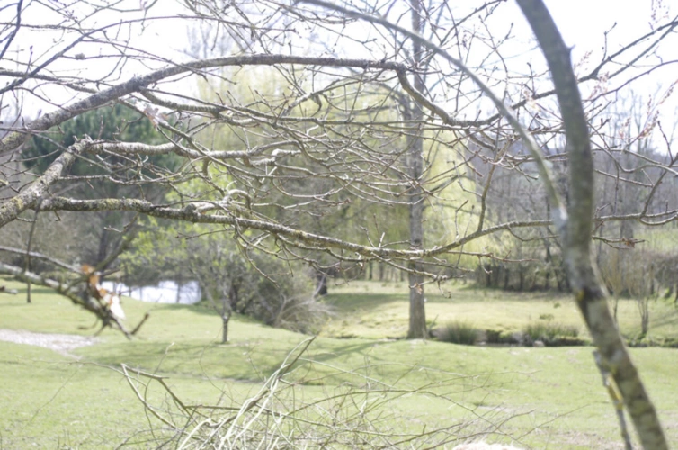 Photos 28 - Touristique - SAINT JEAN POUTGE, à vendre propriete de charme 8 pièces + potentiel gîtes indépendants sur 7.4 ha de terrain