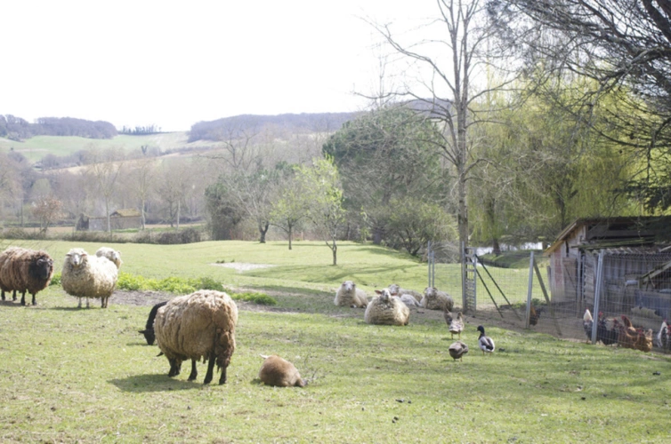 Photos 30 - Touristique - SAINT JEAN POUTGE, à vendre propriete de charme 8 pièces + potentiel gîtes indépendants sur 7.4 ha de terrain