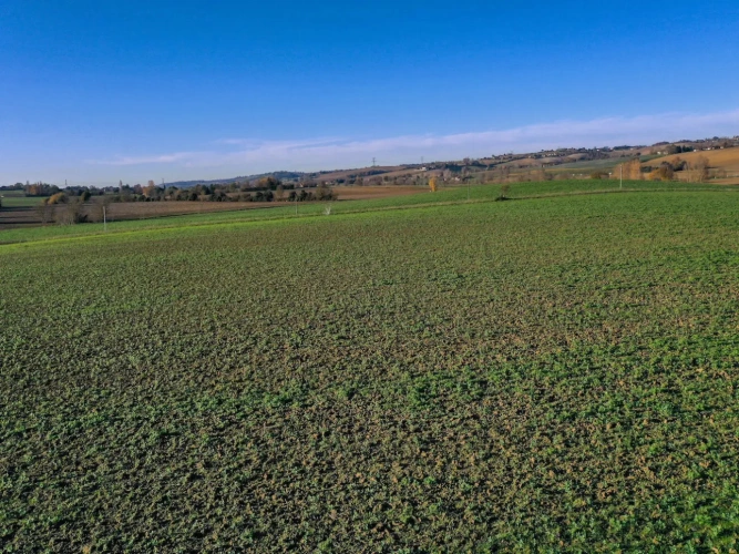 Photos 1 - Agricole - Exploitation agricole : terres libres et bien regroupées