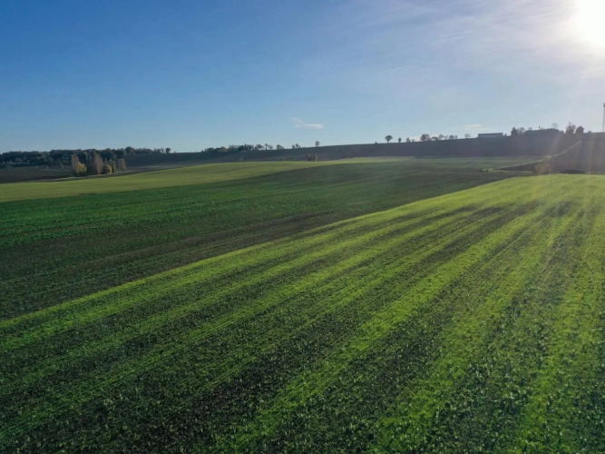 Photos 2 - Agricole - Exploitation agricole : terres libres et bien regroupées