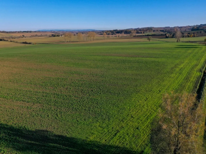 Photos 3 - Agricole - Exploitation agricole : terres libres et bien regroupées