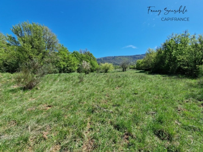 Photos 2 - Agricultural - RARE FOR SALE – 18 HECTARES PROPERTY IN AGRICULTURAL ZONE – PLAN-D'AUPS-SAINTE-BAUME