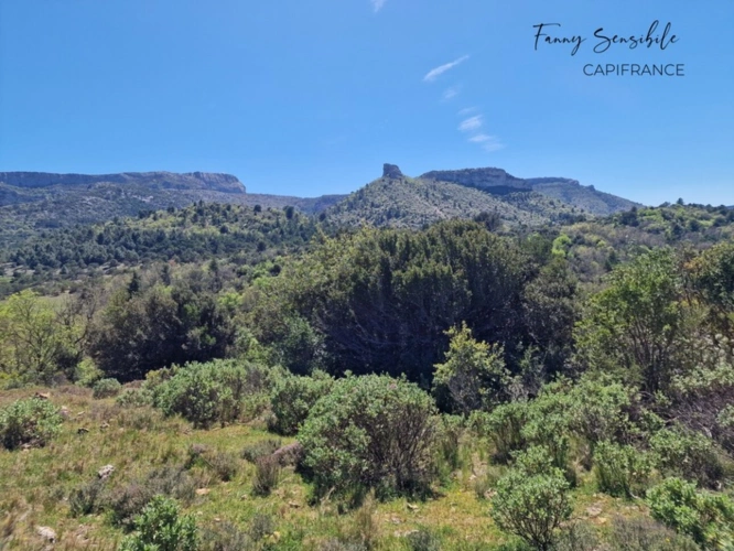 Photos 3 - Agricultural - RARE FOR SALE – 18 HECTARES PROPERTY IN AGRICULTURAL ZONE – PLAN-D'AUPS-SAINTE-BAUME
