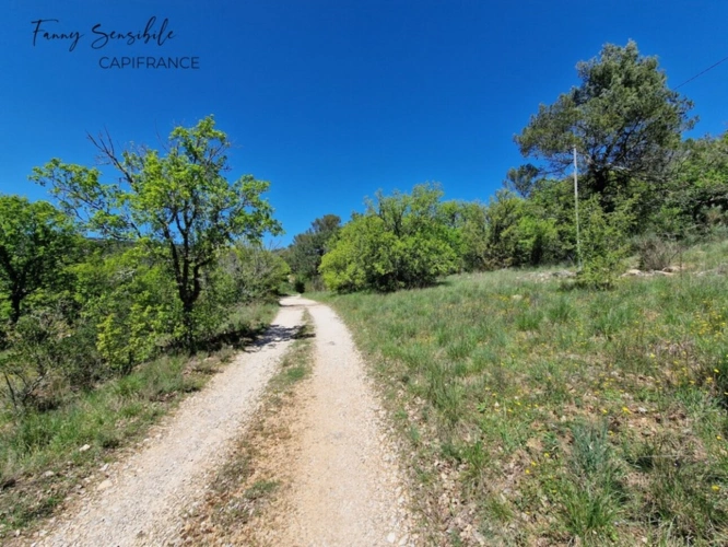Photos 4 - Agricultural - RARE FOR SALE – 18 HECTARES PROPERTY IN AGRICULTURAL ZONE – PLAN-D'AUPS-SAINTE-BAUME
