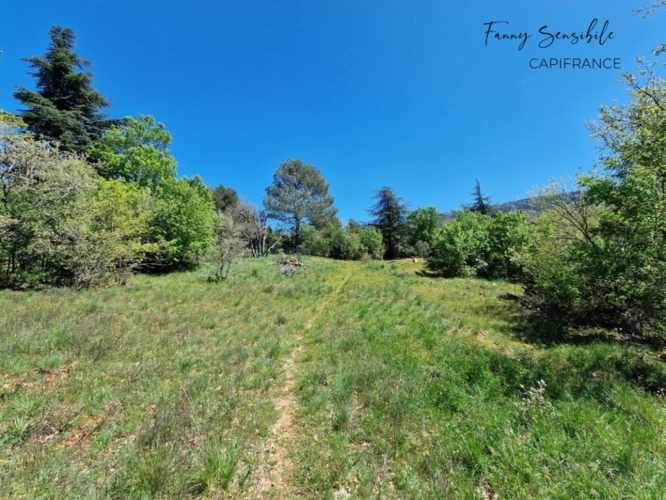 Photos 9 - Agricultural - RARE FOR SALE – 18 HECTARES PROPERTY IN AGRICULTURAL ZONE – PLAN-D'AUPS-SAINTE-BAUME