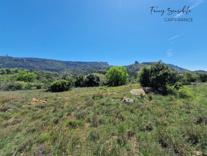 Photos 10 - Agricultural - RARE FOR SALE – 18 HECTARES PROPERTY IN AGRICULTURAL ZONE – PLAN-D'AUPS-SAINTE-BAUME
