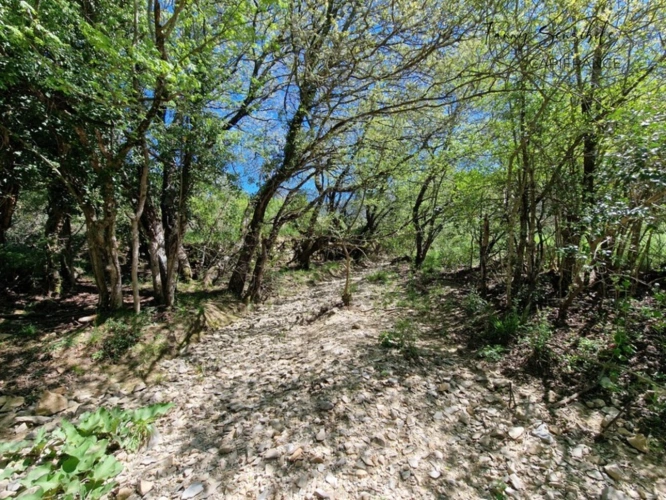 Photos 12 - Agricultural - RARE FOR SALE – 18 HECTARES PROPERTY IN AGRICULTURAL ZONE – PLAN-D'AUPS-SAINTE-BAUME