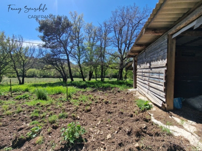 Photos 13 - Agricultural - RARE FOR SALE – 18 HECTARES PROPERTY IN AGRICULTURAL ZONE – PLAN-D'AUPS-SAINTE-BAUME