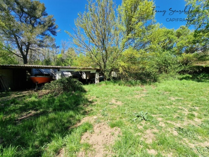 Photos 14 - Agricultural - RARE FOR SALE – 18 HECTARES PROPERTY IN AGRICULTURAL ZONE – PLAN-D'AUPS-SAINTE-BAUME