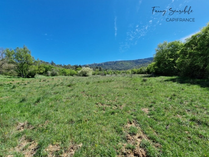 Photos 15 - Agricultural - RARE FOR SALE – 18 HECTARES PROPERTY IN AGRICULTURAL ZONE – PLAN-D'AUPS-SAINTE-BAUME