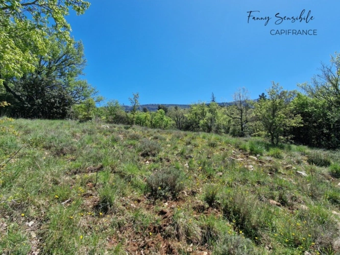 Photos 16 - Agricultural - RARE FOR SALE – 18 HECTARES PROPERTY IN AGRICULTURAL ZONE – PLAN-D'AUPS-SAINTE-BAUME