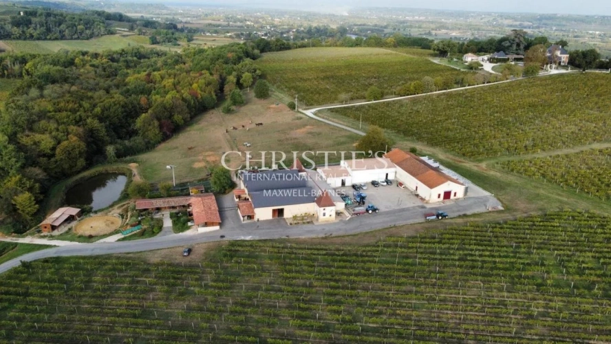 Photos 5 - Équestre - A vendre à Sainte Foy la Grande, magnifique propriété viticole et équestre, 80 ha de vignes et 35ha de bois