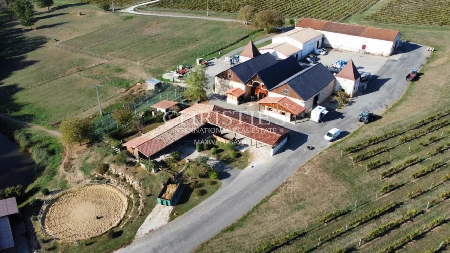Photos 6 - Équestre - A vendre à Sainte Foy la Grande, magnifique propriété viticole et équestre, 80 ha de vignes et 35ha de bois