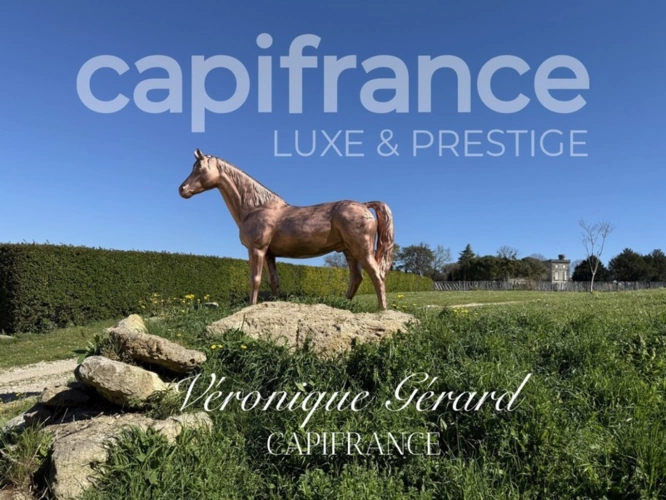 Photos 1 - Prestige - À Saint Christophe des Bardes. Propriété d’exception de plus de 310 M2 sur 4858 M2 de Terrain