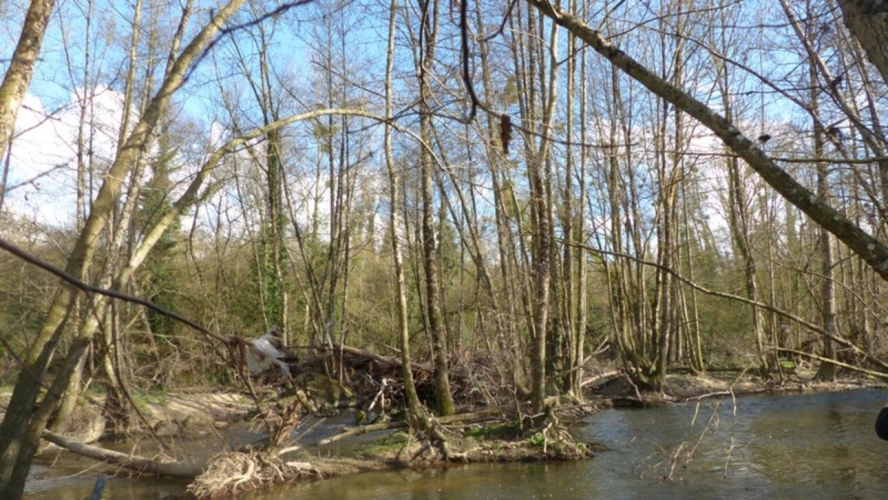 Photos 2 - Foncière - Deux ILES à vendre  AIRVAULT (79) 2345 m²