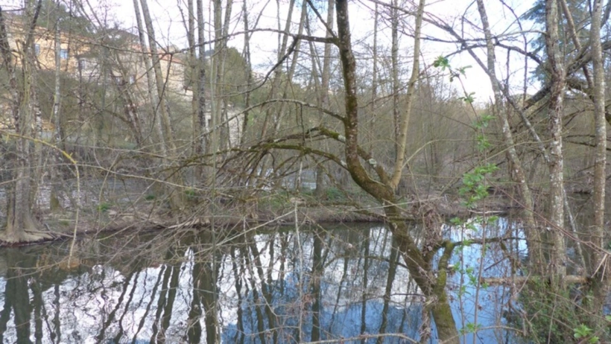 Photos 3 - Foncière - Deux ILES à vendre  AIRVAULT (79) 2345 m²