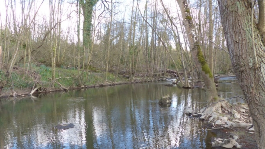 Photos 4 - Foncière - Deux ILES à vendre  AIRVAULT (79) 2345 m²