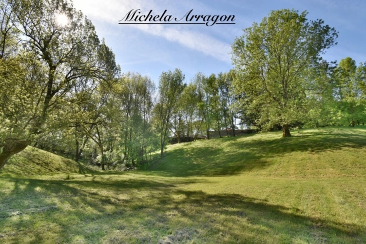 Photos 21 - Prestige - Dpt Lot et Garonne (47), à vendre PINEL HAUTERIVE propriete P6 de 240 m² - Terrain de 21 912,00 m²