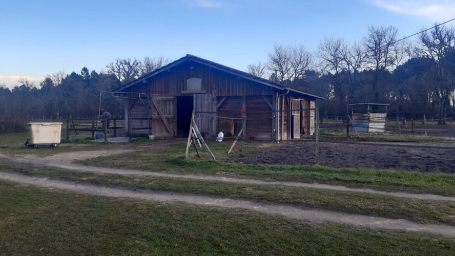Photos 10 - Équestre - Belle propriété équestre en Sud Gironde