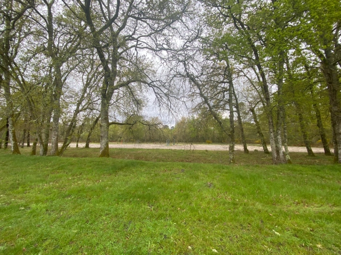 Photos 11 - Équestre - Belle propriété équestre en Sud Gironde