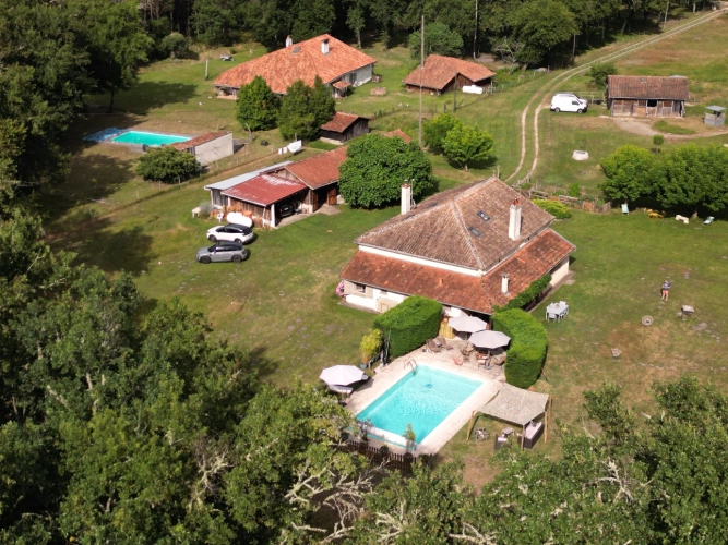 Photos 12 - Équestre - Belle propriété équestre en Sud Gironde