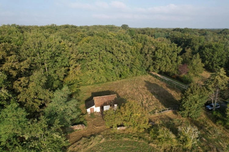 Photos 11 - Équestre - Propriété avec Deux Maisons et un Gîte sur 7,3 ha
