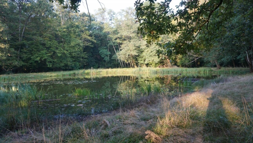 Photos 12 - Équestre - Propriété avec Deux Maisons et un Gîte sur 7,3 ha