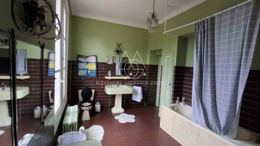 Photos 15 - Prestige - Château à 10 min de Tours de 500m2 sur un magnifique parc de 5ha