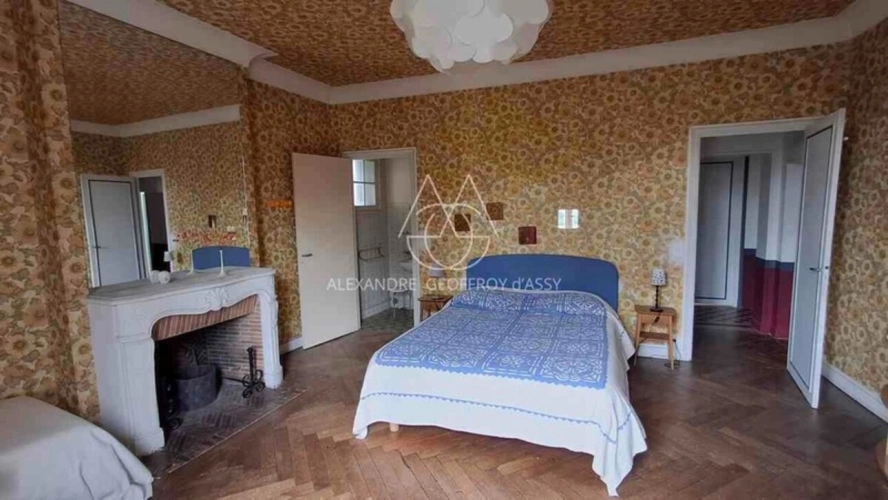 Photos 21 - Prestige - Château à 10 min de Tours de 500m2 sur un magnifique parc de 5ha