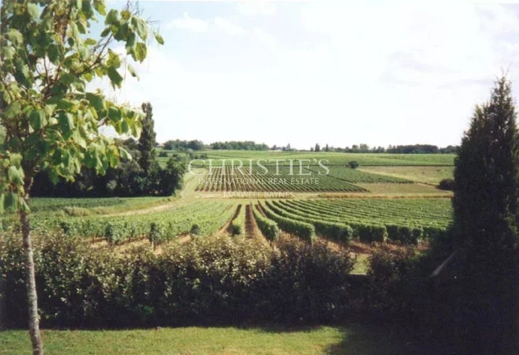 Photos 1 - Viticole - A vendre charmante propriété de 7 ha environ près de Saint-Emilion