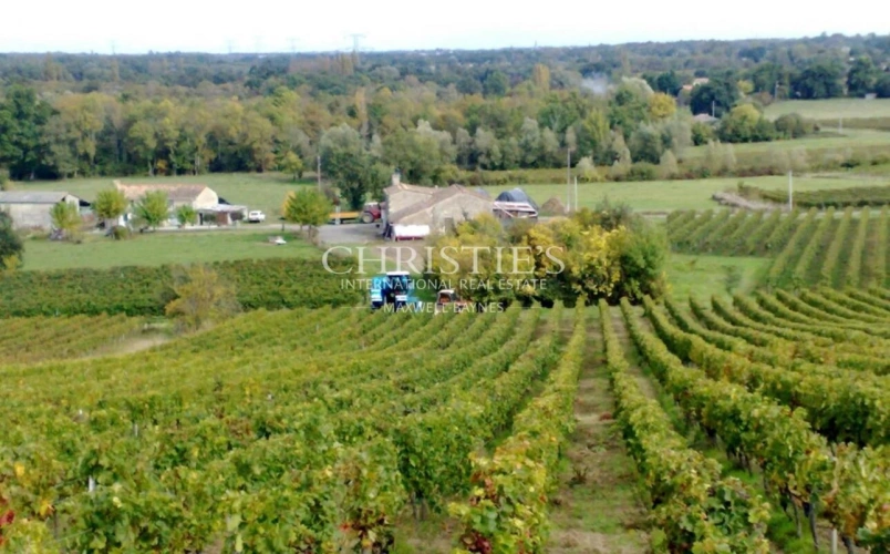 Photos 1 - Vineyard - Family vineyard for sale: 13.5 hectares in the heart of the Libourne region