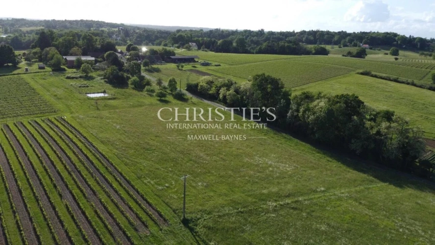 Photos 1 - Viticole - A vendre - Vignoble en AOC Pécharmant et Rosette