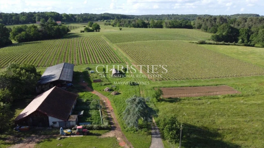 Photos 9 - Viticole - A vendre - Vignoble en AOC Pécharmant et Rosette