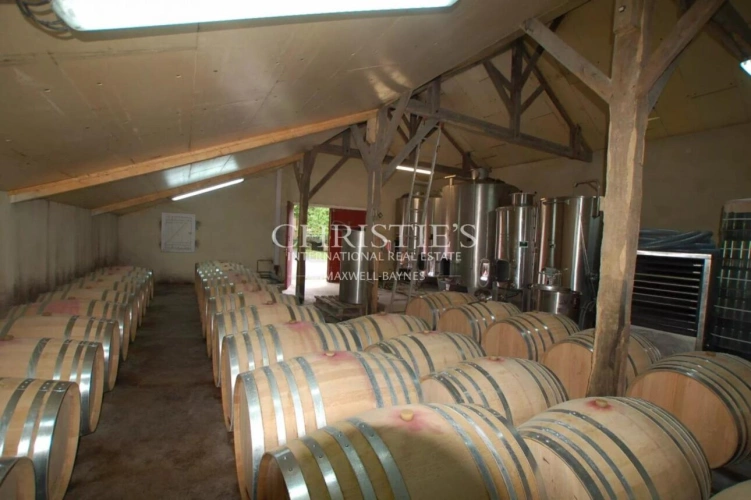 Photos 12 - Viticole - A vendre - Vignoble en AOC Pécharmant et Rosette
