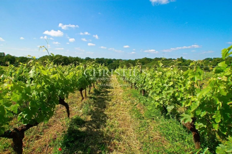 Photos 4 - Viticole - Sublime propriété viticole de 3.21 ha près de Bordeaux - Clé en main !