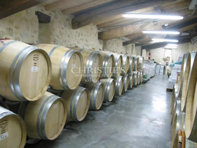 Photos 7 - Viticole - Sublime propriété viticole de 3.21 ha près de Bordeaux - Clé en main !