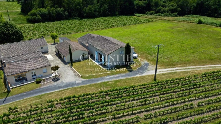 Photos 5 - Viticole - Charmante propriété d'agrément de 3 ha - 1.75 ha de vigne en AOC Côtes de Bordeaux
