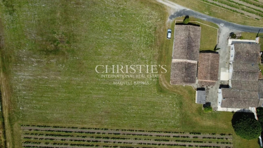 Photos 12 - Viticole - Charmante propriété d'agrément de 3 ha - 1.75 ha de vigne en AOC Côtes de Bordeaux