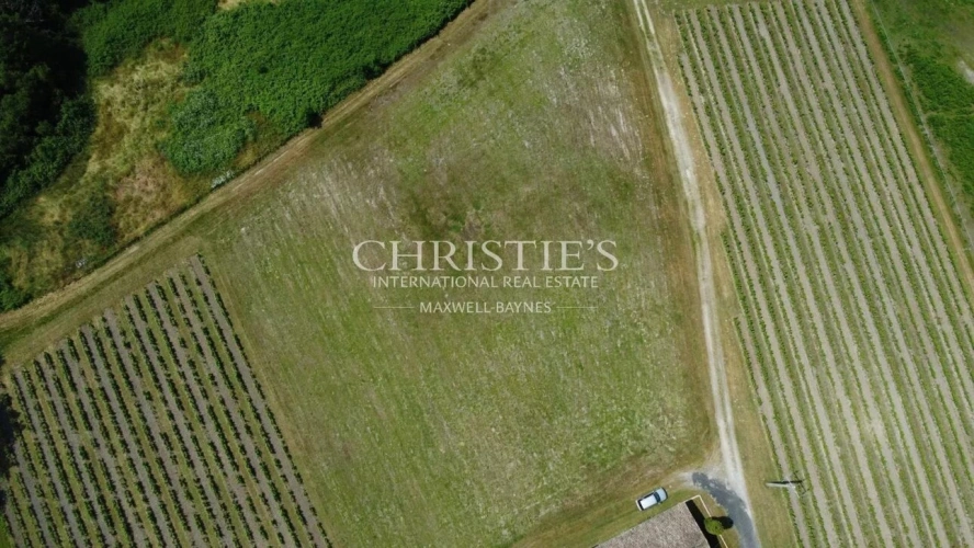 Photos 13 - Viticole - Charmante propriété d'agrément de 3 ha - 1.75 ha de vigne en AOC Côtes de Bordeaux