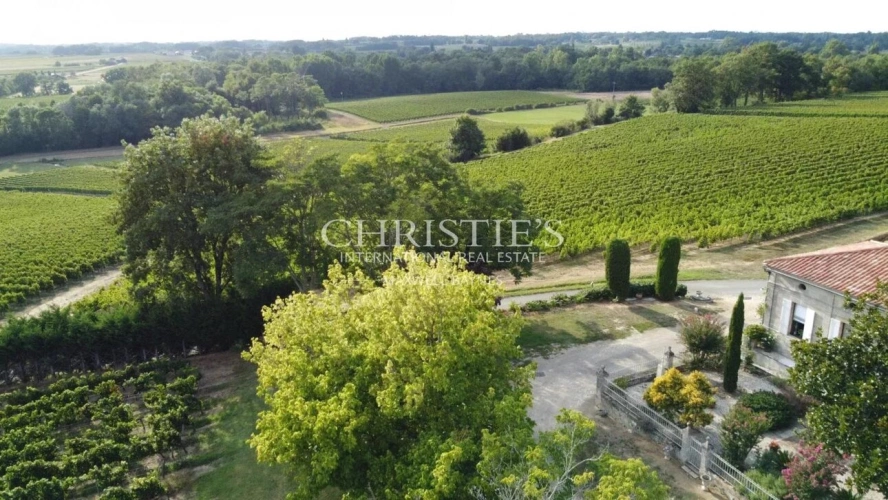 Photos 1 - Viticole - A vendre belle propriété de 18 ha avec une position dominante - Top terroir - A 35 mn de Bordeaux