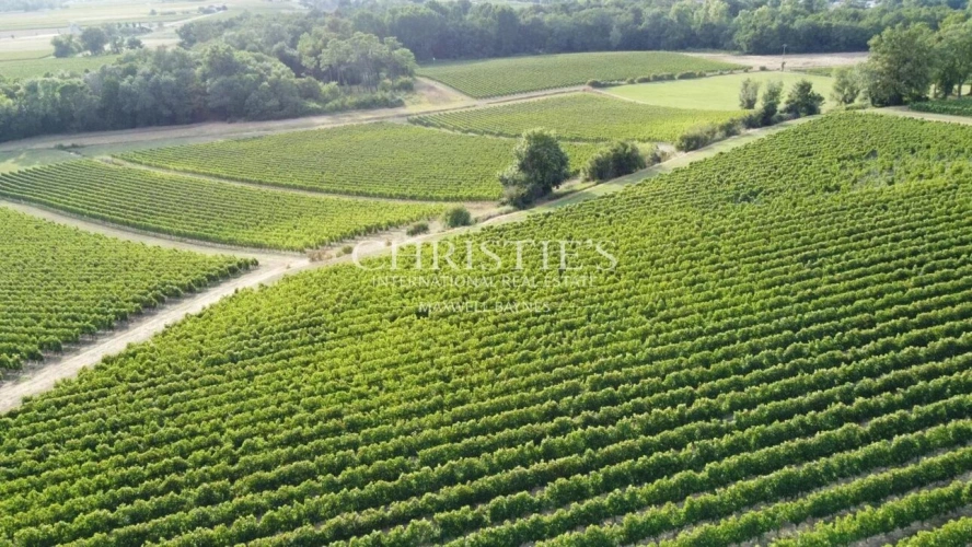 Photos 3 - Viticole - A vendre belle propriété de 18 ha avec une position dominante - Top terroir - A 35 mn de Bordeaux