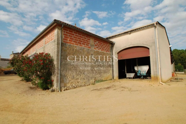 Photos 7 - Viticole - A vendre belle propriété de 18 ha avec une position dominante - Top terroir - A 35 mn de Bordeaux